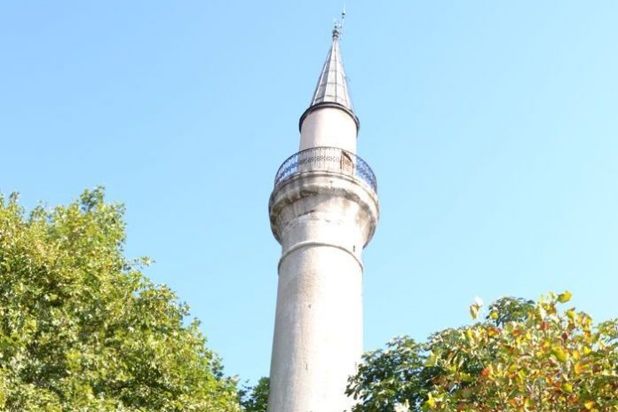 image-.jpg