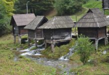 The Harbour of the Golden Gate
